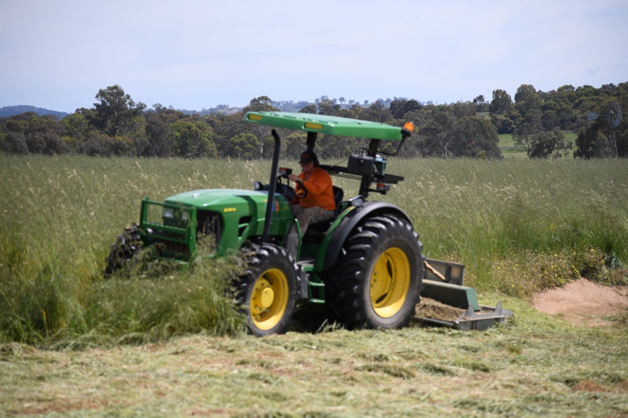 Slashing & Slope Mowing - 2